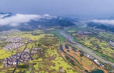 全面推进乡村振兴 从“盆景”走向“风景”