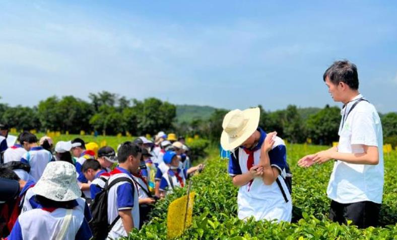 暑期研学游：需求更细分，场景再上新