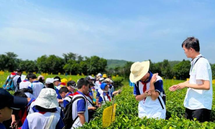 《2024年中国研学旅游发展报告》发布